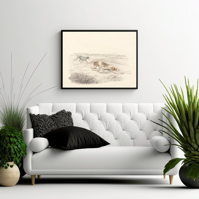 Puede incluir: Una ilustraci&oacute;n vintage en blanco y negro de dos perros corriendo en un campo. Los perros son ambos marrones y blancos con orejas y colas largas. La ilustraci&oacute;n est&aacute; enmarcada en un marco negro y est&aacute; colgada en una pared blanca.