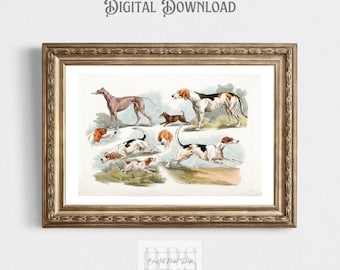 May include: Vintage illustration of various dog breeds, including a Greyhound, Foxhound, and Beagle. The dogs are depicted in different poses, some running, some standing, and some lying down. The illustration is done in a watercolor style with a light background.