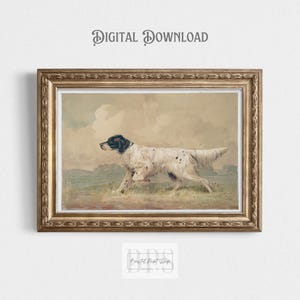 May include: A vintage illustration of a white and black English Setter dog running through a field. The dog is depicted in a realistic style with detailed fur and a long tail. The background is a soft, muted landscape with a hint of blue sky.