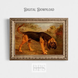 Dog Portrait | Vintage Dog Painting | Hound Dog | Bloodhound | Antique Oil Painting | Vintage Artwork | Digital Download