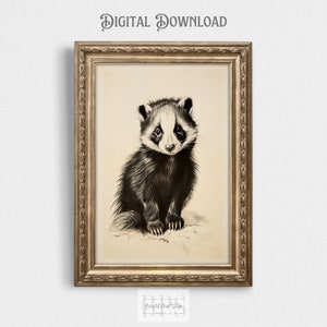 Bebé Woodland Skunk / Forest Skunk / Vintage Style Animal Print / Woodland Nursery Boys Decor / Nursery Girls Wall Art / Animal del bosque
