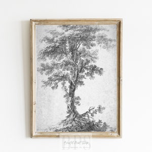Puede incluir: Un dibujo a l&aacute;piz en blanco y negro de un &aacute;rbol con un tronco grueso y ramas. El &aacute;rbol est&aacute; dibujado sobre un fondo de papel texturizado.