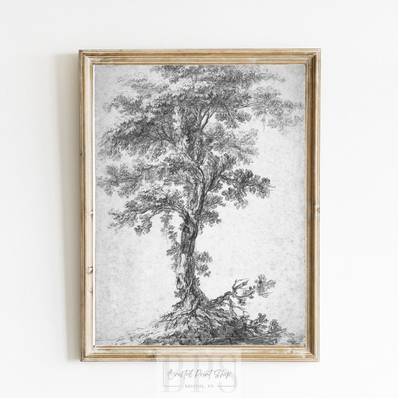 Puede incluir: Un dibujo a l&aacute;piz en blanco y negro de un &aacute;rbol con un tronco grueso y ramas. El &aacute;rbol est&aacute; dibujado sobre un fondo de papel texturizado.