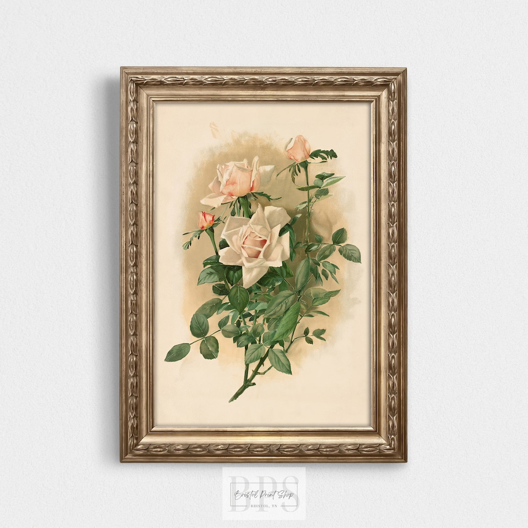 Vintage Pink Roses Print| Pastel Flower Print | Antique Wall Art | 19th ...