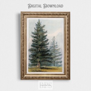 Puede incluir: Una impresión enmarcada con una acuarela de dos árboles de hoja perenne. Los árboles son verdes y azules, sobre un fondo azul claro y blanco. El marco es dorado con detalles ornamentados. El texto en la parte superior dice "DESCARGA DIGITAL".