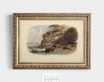 Stampa artistica vintage di castori / Tre castori del fiume Missouri / Download digitale per gli amanti della natura