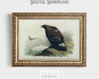 May include: A vintage illustration of a golden eagle perched on a rocky cliff. The eagle has brown and white feathers and is looking to the left. The background is a light blue sky with white clouds.