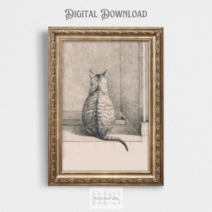 Vintage 1812 Cat Drawing | Moody Kitten Print | Antique Feline Illustration | Nursery Wall Art | Fat Cat | Girls Room Decor | Boys Room Art
