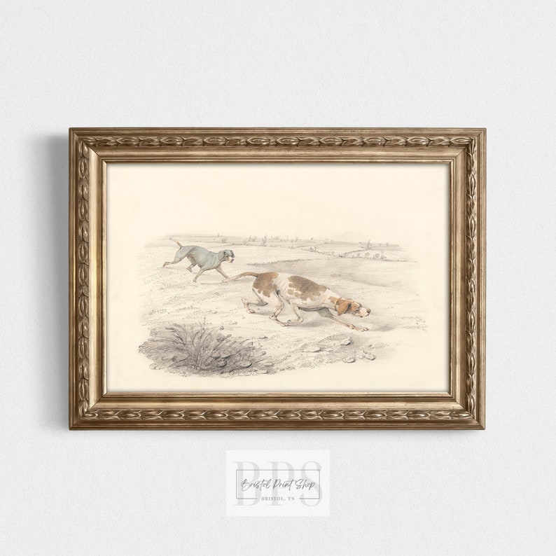 Puede incluir: Una ilustraci&oacute;n vintage de dos perros corriendo por un campo. Los perros son un galgo y un pointer. La ilustraci&oacute;n est&aacute; en blanco y negro y tiene un tono sepia. La ilustraci&oacute;n est&aacute; enmarcada en un marco dorado.