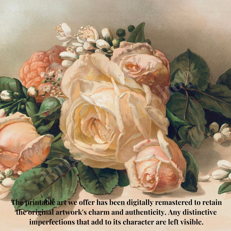 Vintage Rose Art Digital Wall Print | Pink Botanical Download for Home ...