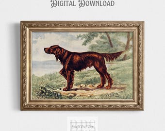 May include: A vintage illustration of a brown Irish Setter dog standing in a grassy field. The dog is looking to the left of the image. The illustration is framed in a gold frame.