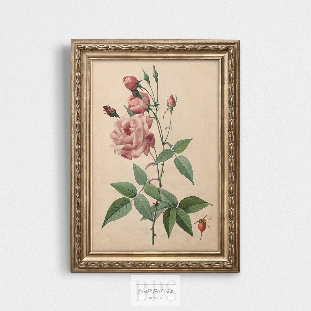 Vintage Pink Rose Print | Antique Wall Art | Girls Room Print | Nursery ...
