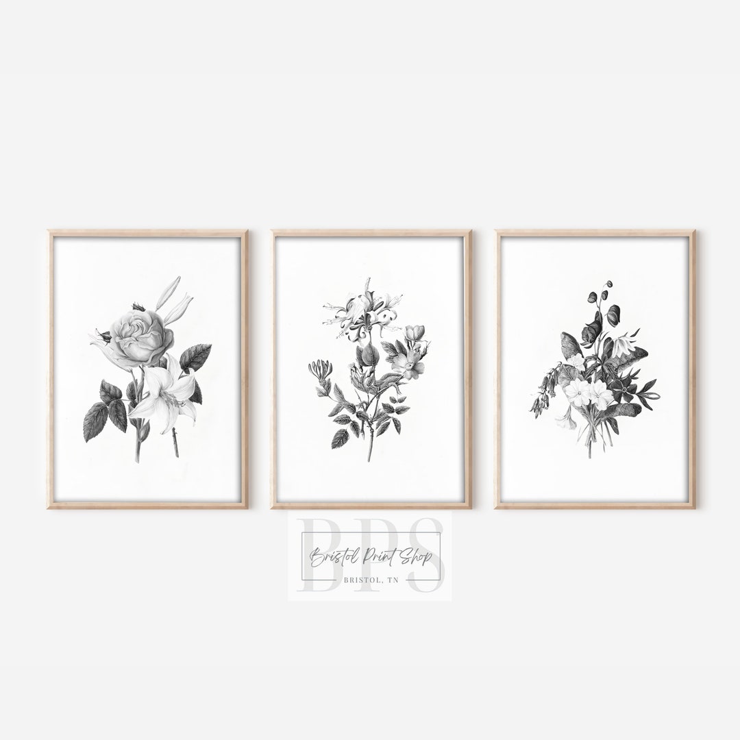 Vintage Botanical Print Black and White Art 19th Century Illustration ...