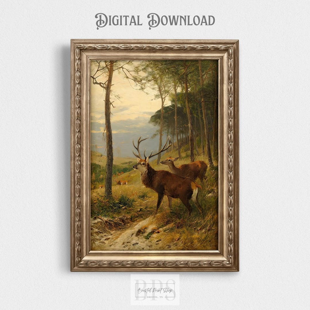 Vintage 1888 Deer in Woods | Colorful Print | Antique Wall Art | 19th ...