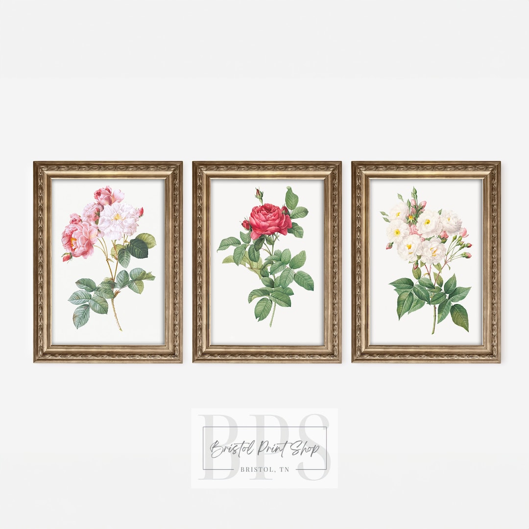Vintage Roses Gallery Wall Set | Botanical Home Decor | Pink Rose