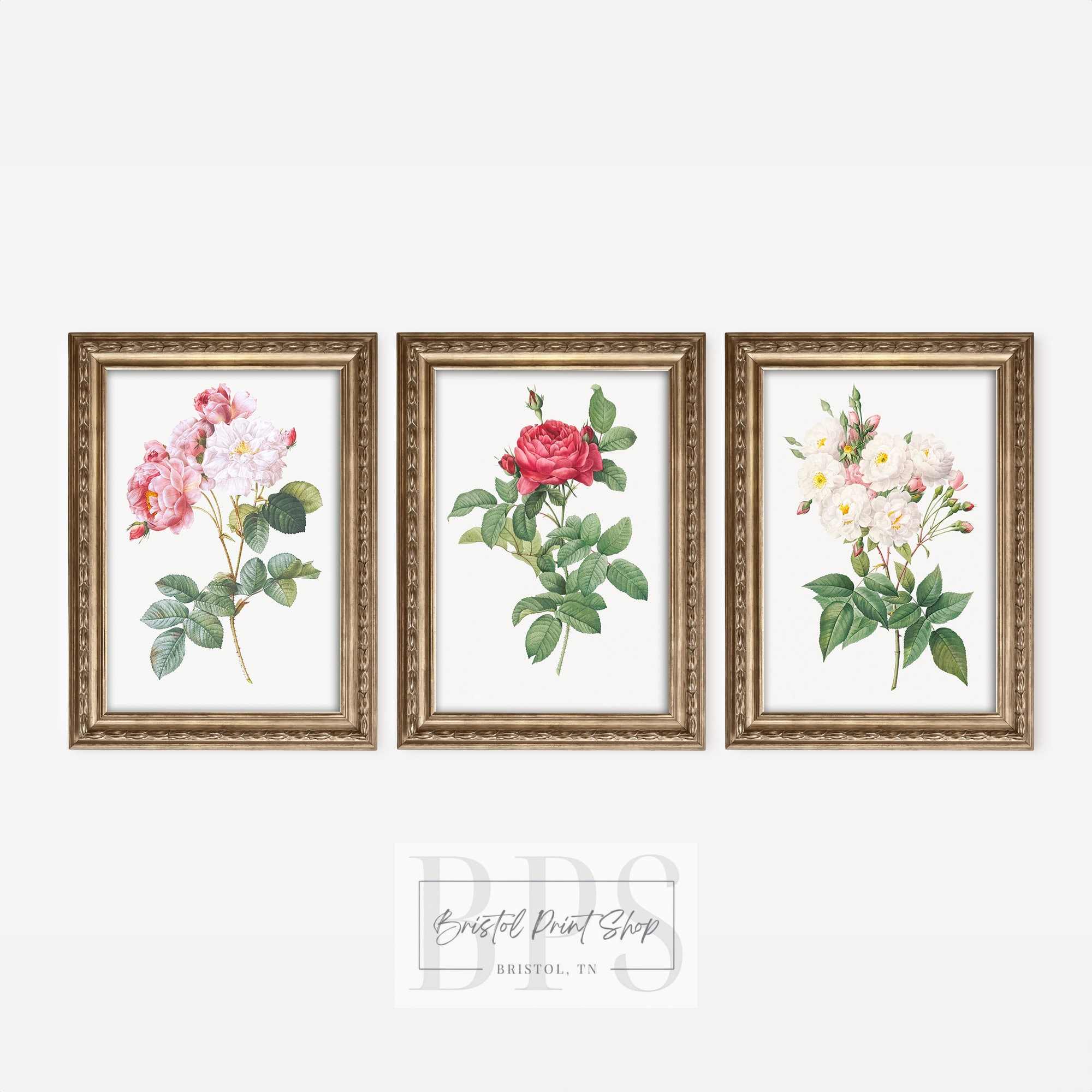Vintage Roses Gallery Wall Set | Botanical Home Decor | Pink Rose