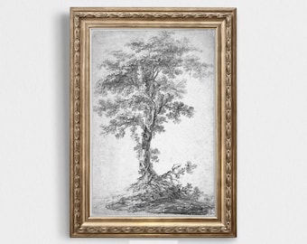 Disegno di albero vintage / Schizzo in bianco e nero / Arte da parete antica / Illustrazione del XIX secolo / Arredamento rustico della cabina / Stampa da parete della scuola materna
