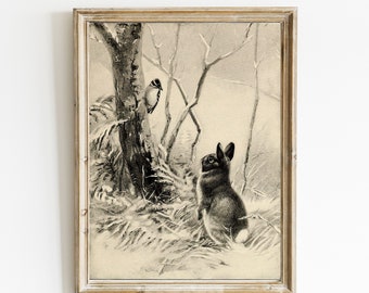 1898 Vintage Rabbit & Woodpecker | Hare Drawing | Antique Wall Art | Woodland Bunny | Boy's Room Print | Nursery Wall Art | Girl's Room Art