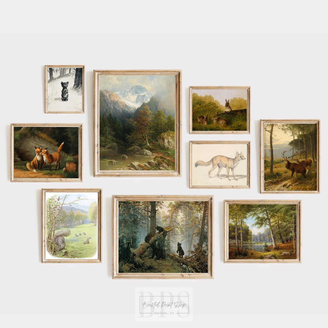 Vintage Nursery Prints | Gallery Wall Art Set of 9 | Boy's Room ...