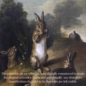 Vintage kaninkonst | Klassisk skogsscen från 1720 | Digital nedladdning för rustik heminredning | Gåva för husdjursälskare bild 3