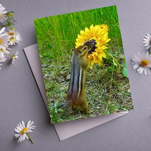 Chipmunk Sunflower Notecard