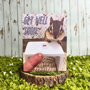 Chipmunk Get Well Notecard