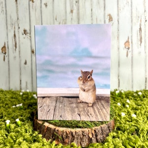 Chipmunk Sky Notecard