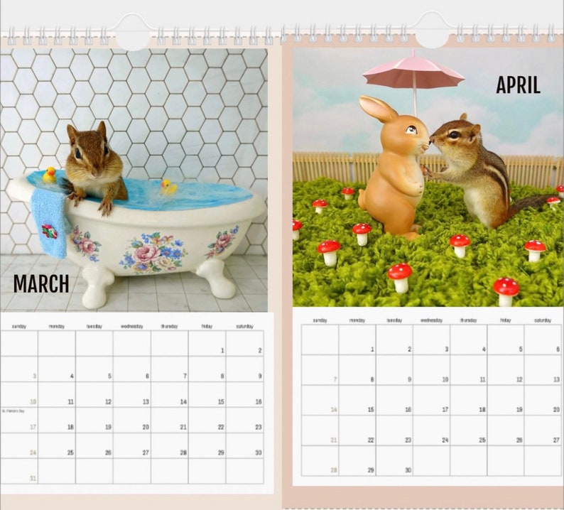 Chipmunk Photography 2024 Calendar Etsy