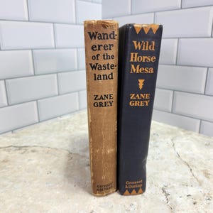 Vintage Zane Grey Book Set: Wanderer of the Wasteland, Wild Horse Mesa