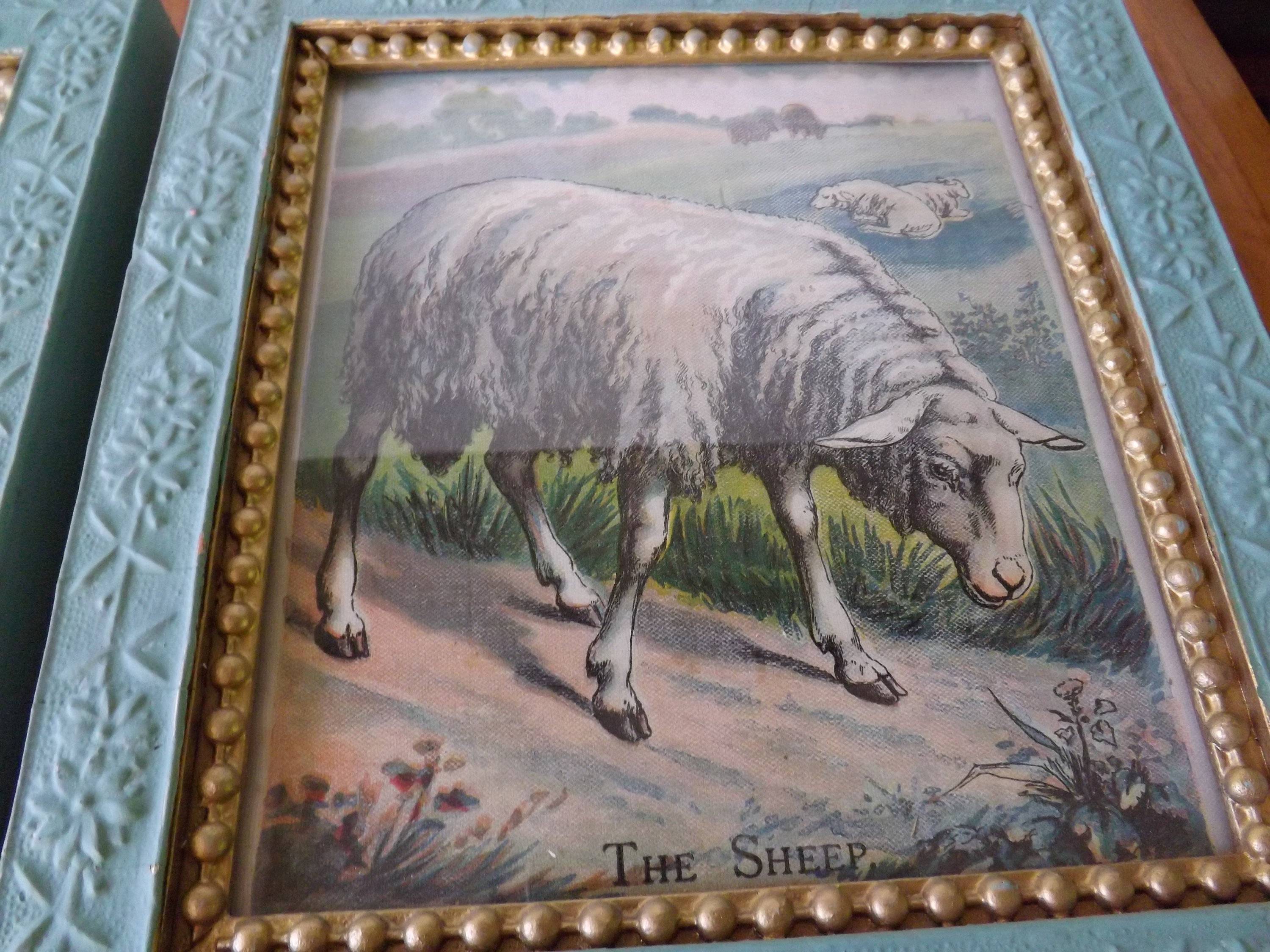 Framed vintage animal prints from a child's book retro | Etsy