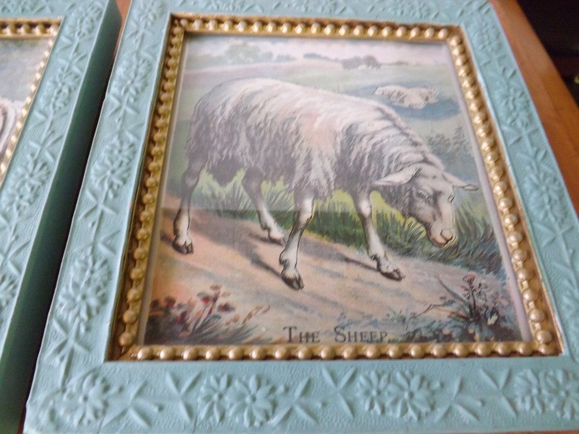 Framed Vintage Animal Prints From a Child's Book Retro Etsy