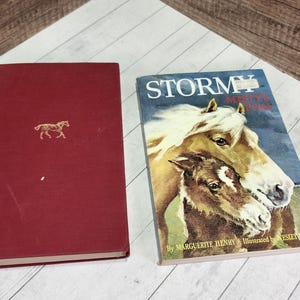 Vintage Horse Book Set: Stormy Misty&#39;s Foal & Training Hunters