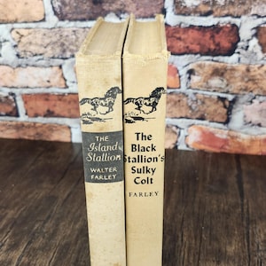 May include: Two vintage hardcover books, "The Island Stallion" and "The Black Stallion's Sulky Colt" by Walter Farley. The books have beige covers with black horse illustrations and text. The background is a brick wall.