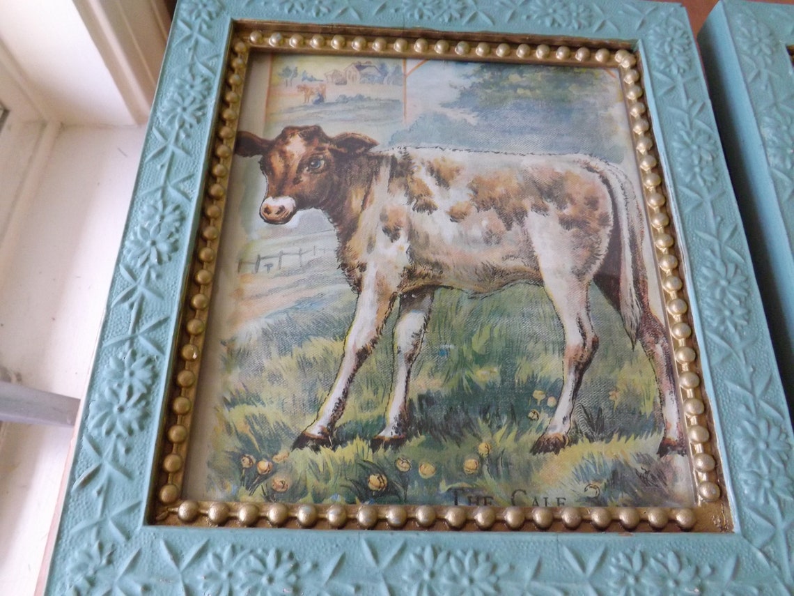 Framed Vintage Animal Prints From a Child's Book Retro Etsy