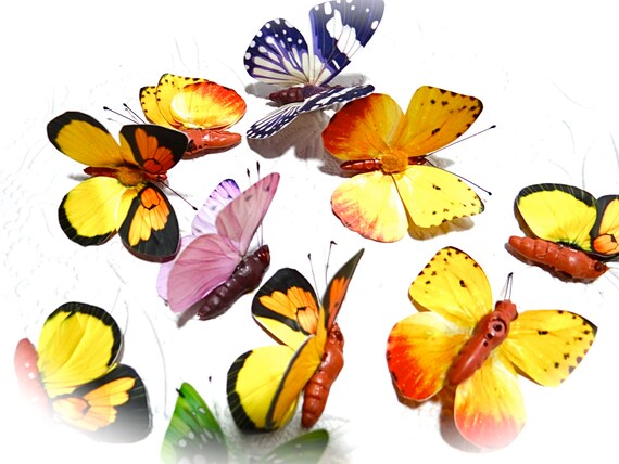 Butterflies Floral Supplies