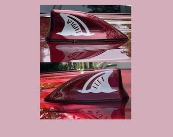 Fins Left Fins Right Decal