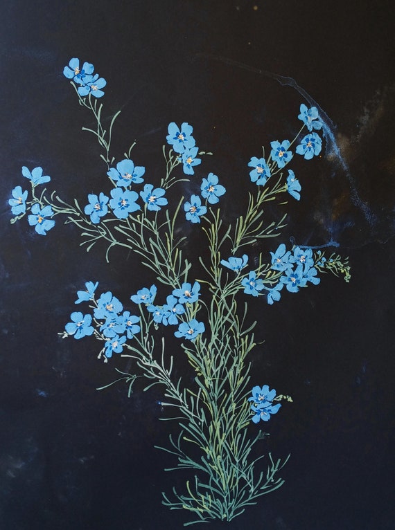 Confused By the Flax