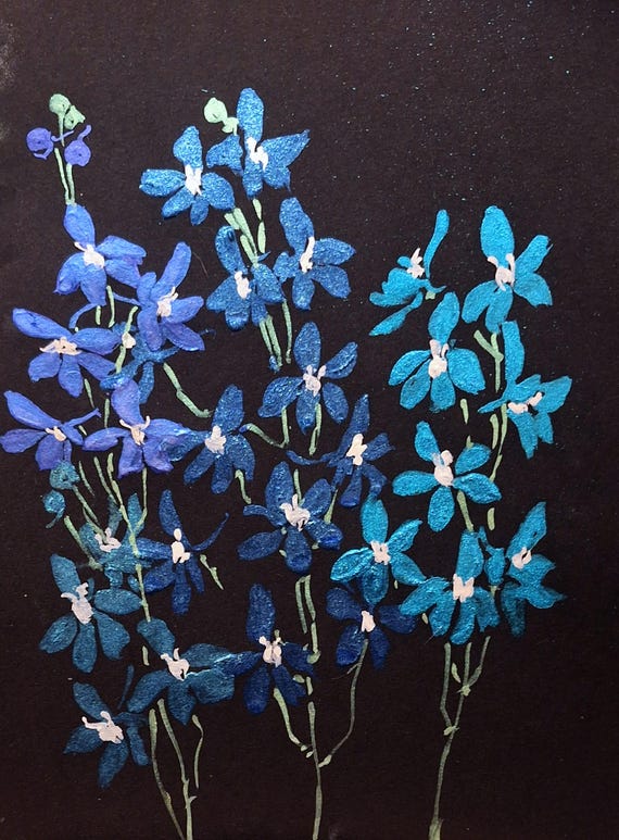 Bluest Of the Bluebirds