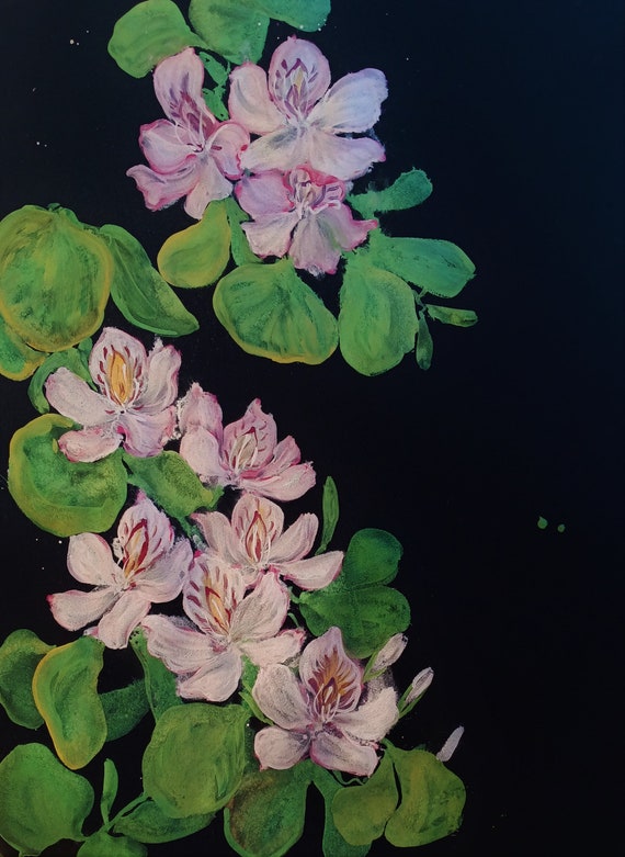 A Joy Of Blossoms