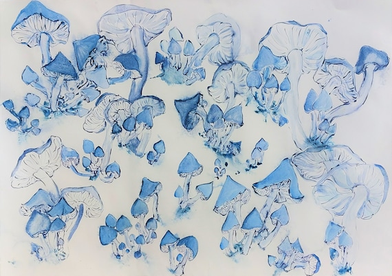 Who Puts the Fun In Fungi?...We Do!...We Do!