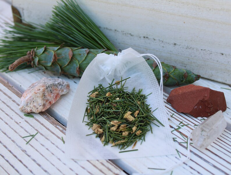FRESH White Pine Needles Tea Bags Suramin Shikimic Acid Etsy