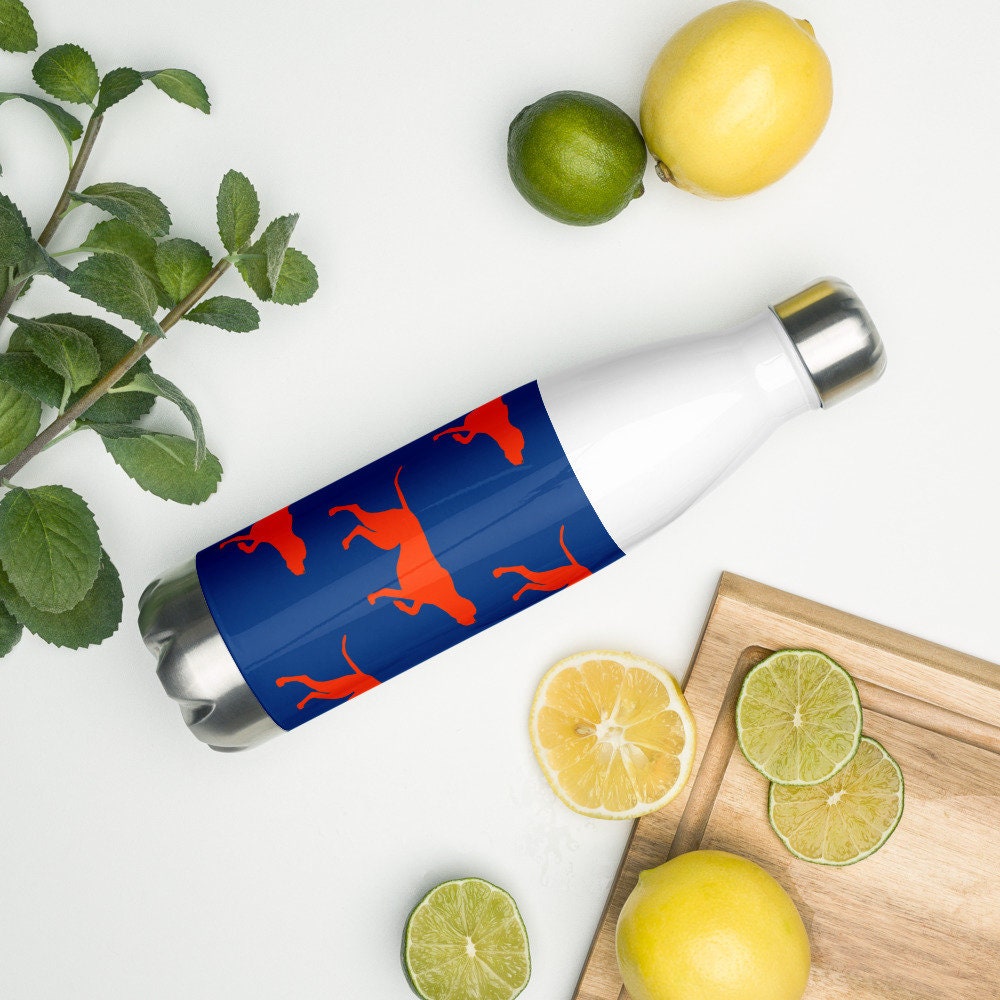insulated water bottles for hiking