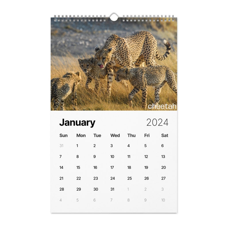 Encounters in Africa's Wild Kingdom, 2025 Calendar, Elephants, Lions