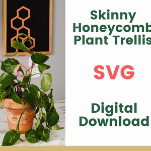 Skinny Honeycomb Plant Trellis SVG, Glowforge Laser File, Trellis File, Digital Download, Laser Cut File, Plant SVG, Plant Download