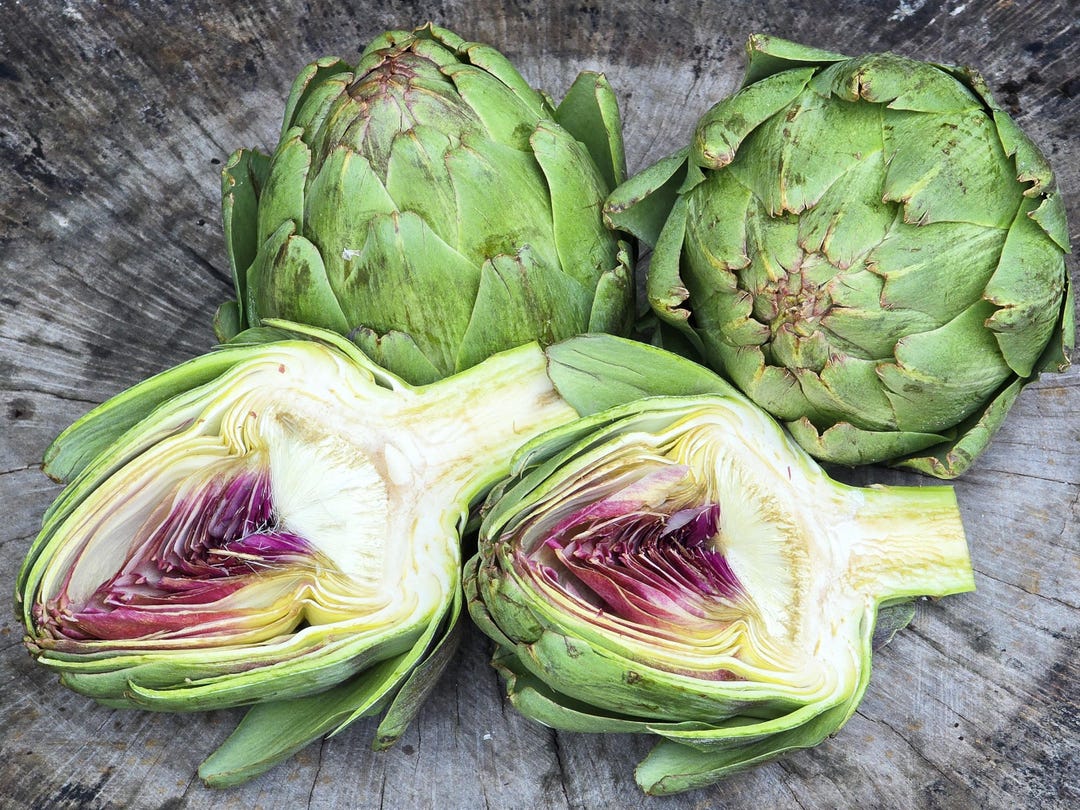 Green Globe Artichoke Seeds High Yield Perennial Vegetable For Any green-globe-artichoke-seeds-high-yield-perennial-vegetable-for-any