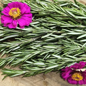 May include: A bunch of fresh green rosemary sprigs with two pink zinnia flowers.