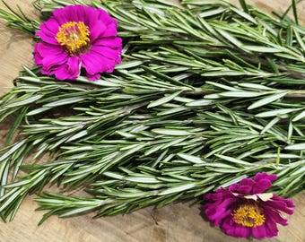 Heirloom Rosemary Herb Seeds – Perennial Mediterranean Herb Garden Seeds