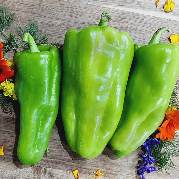 Cubanelle Sweet Pepper Heirloom Vegetable Seeds