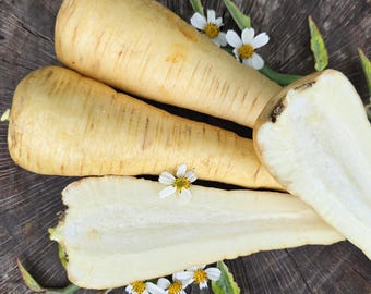 Heirloom Hollow Crown Parsnip Garden Vegetable Seeds - Delicious, Long-Rooted Parsnip Variety