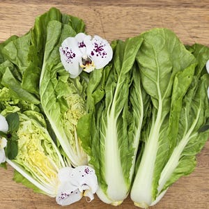 Taiwan Pac Choi aka Bok Choy Seeds - Fast Growing, Easy Garden Greens